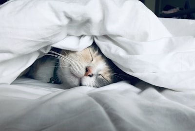 Rest management
